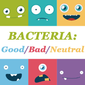 Bacteria: The Good, the Bad & the Neutral